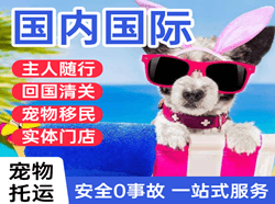 巴彦淖尔航空快递国际宠物托运 【国